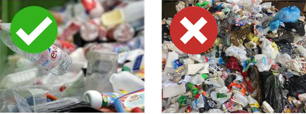 recycling guide